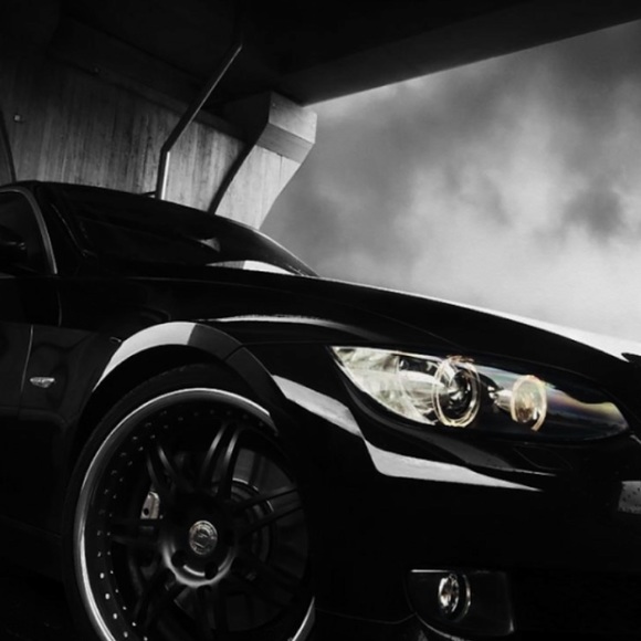 Meet your Posher, Gigi - Picture 6 of 6